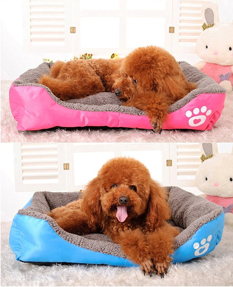 מיטה פרוותית