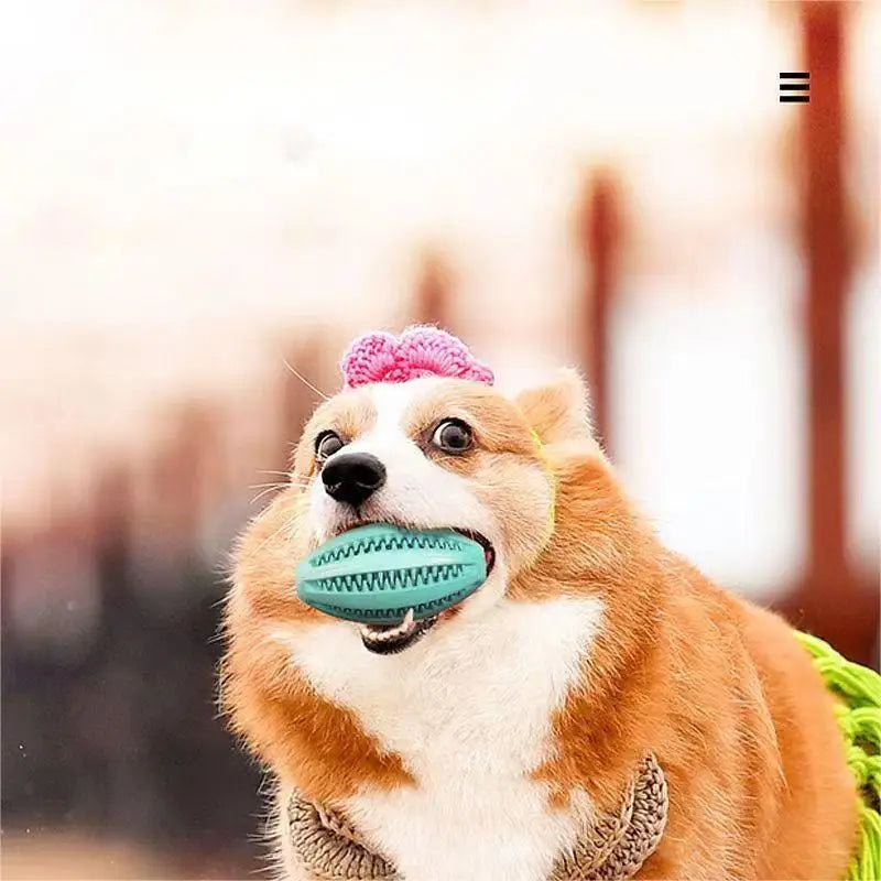 צעצוע לעיסה מסיליקון לניקוי שיניים