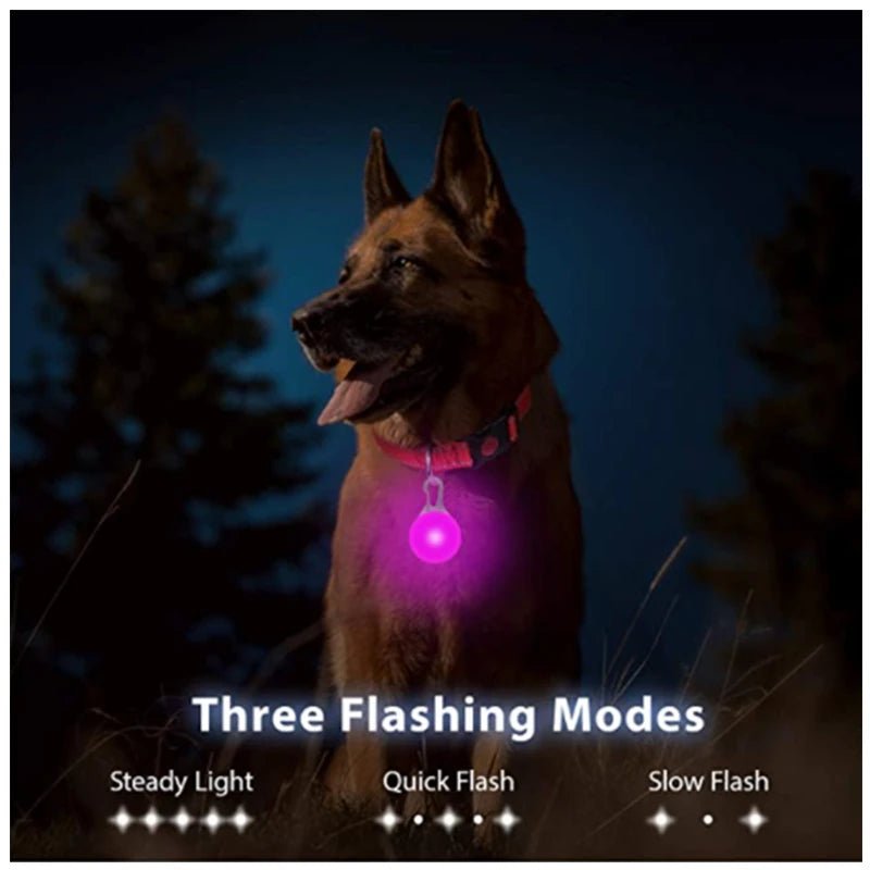 קולר זוהר לכלב 