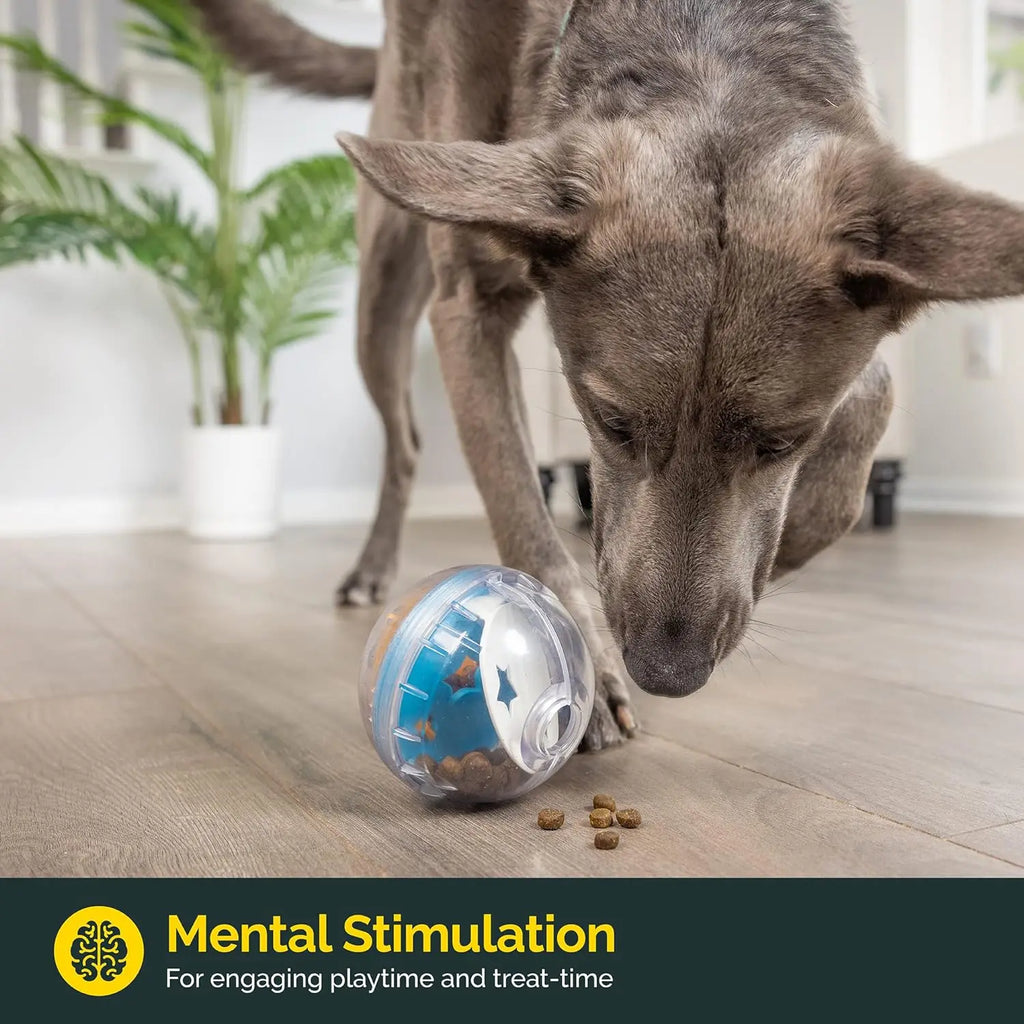 IQ Treat Ball