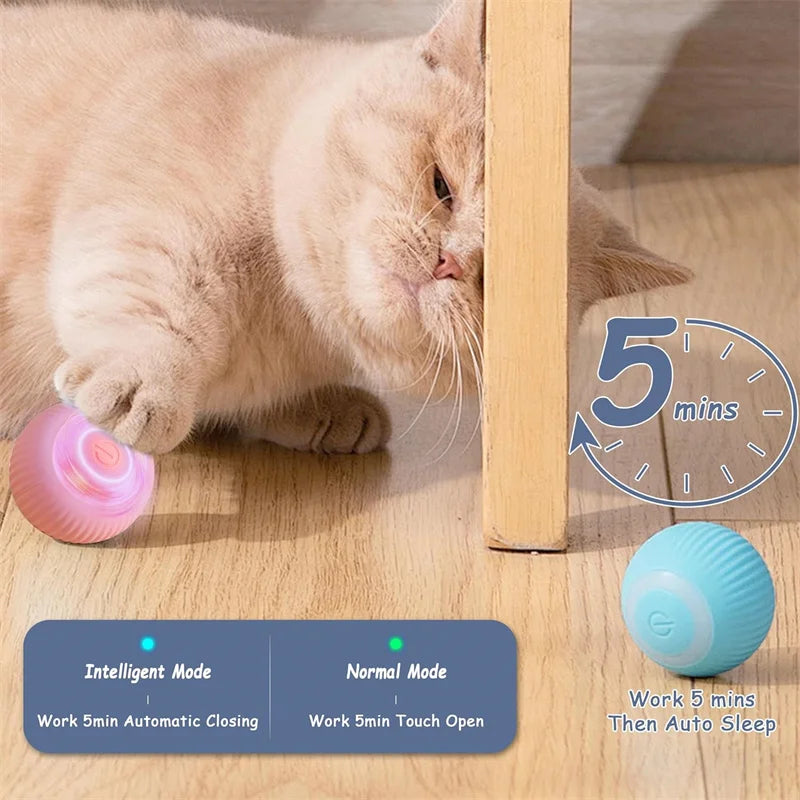 צעצוע אלקטרוני חכם
