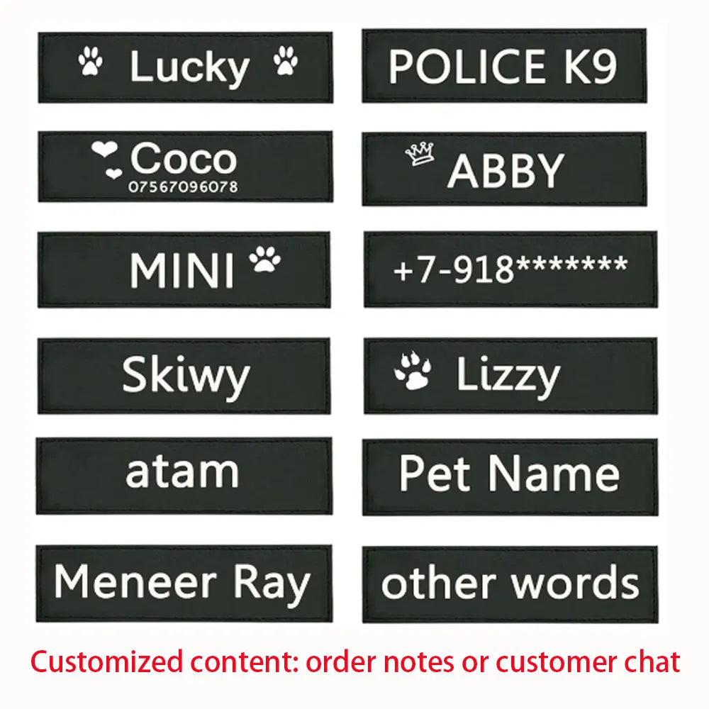 2 יח' תגי סקוץ' לכלב